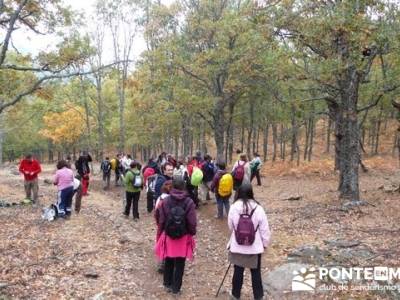 Senderismo por El Castañar de El Tiemblo - Senderismo Ávila